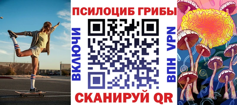 Псилоцибиновые грибы Psilocybine cubensis  Зея 
